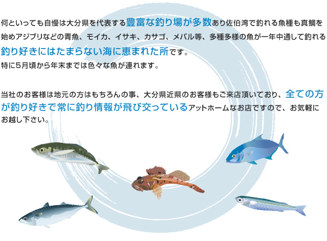 佐伯の釣りポイント