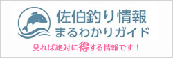 佐伯釣り情報
